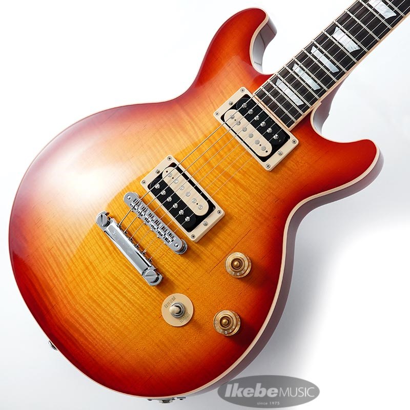 Gibson Les Paul DC HCSの画像